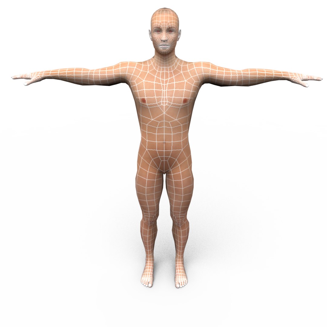 Human Polygonal Obj