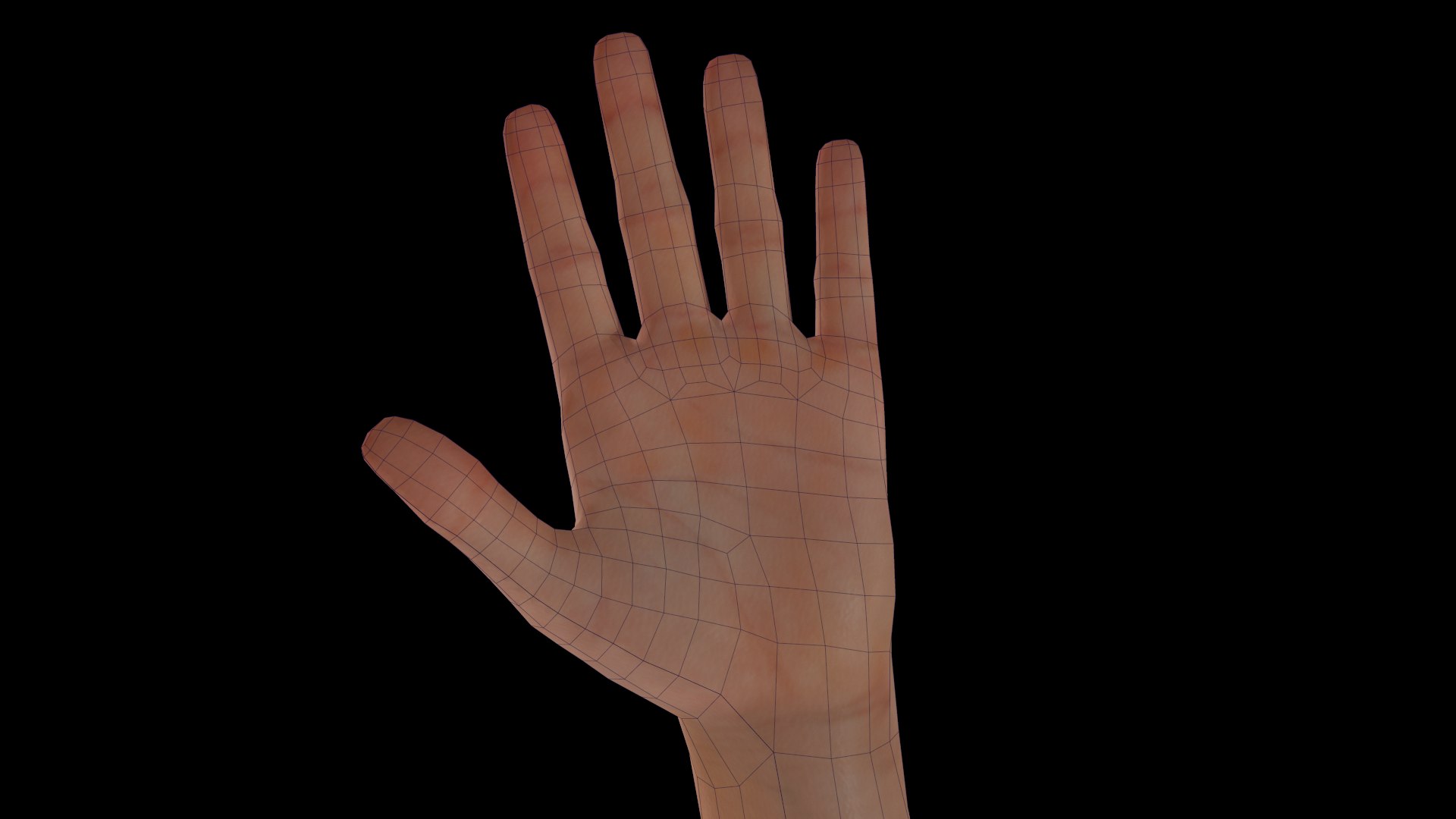 Human Polygonal Obj