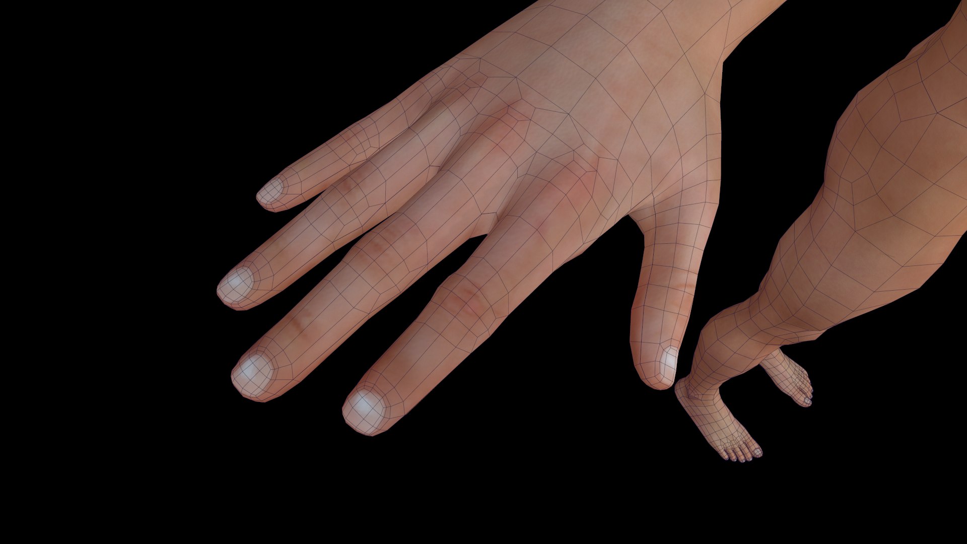 Human Polygonal Obj