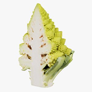 3D Romanesco Half 1 Remastered model
