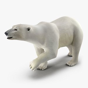 3d model polar bear pose 2