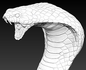Cobra head
