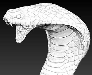 Cobra head