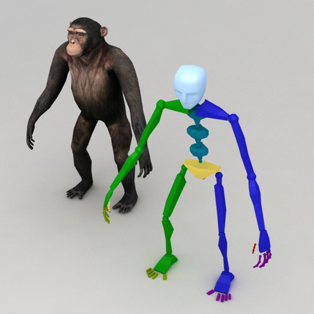 Chimpanzee Rigged Biped 3d Model