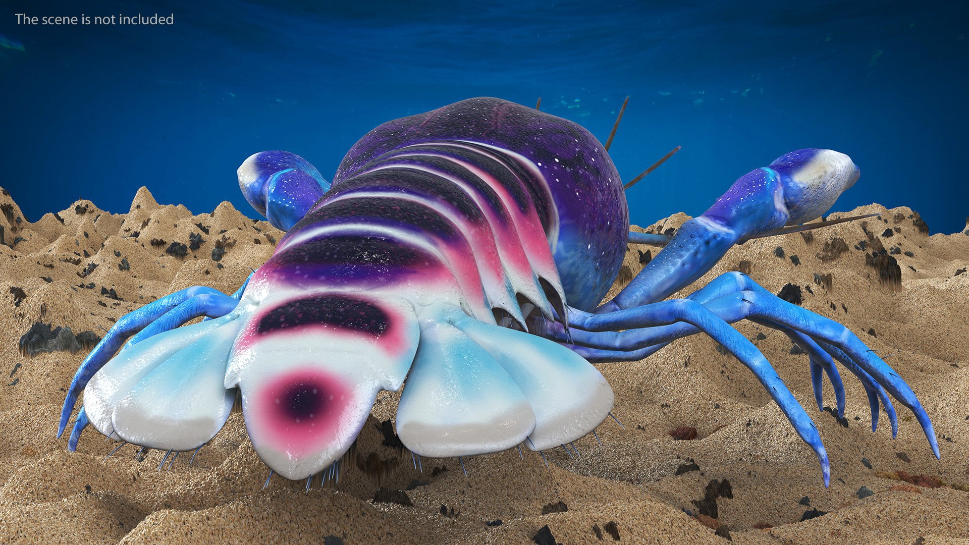 3D Florida Crayfish https://p.turbosquid.com/ts-thumb/PN/qR6ZLV/5Q/floridacrayfish3dmodel005/jpg/1702071992/1920x1080/fit_q87/fe519fb96f86e51564d78a6fc9a2fe3bb3e52004/floridacrayfish3dmodel005.jpg