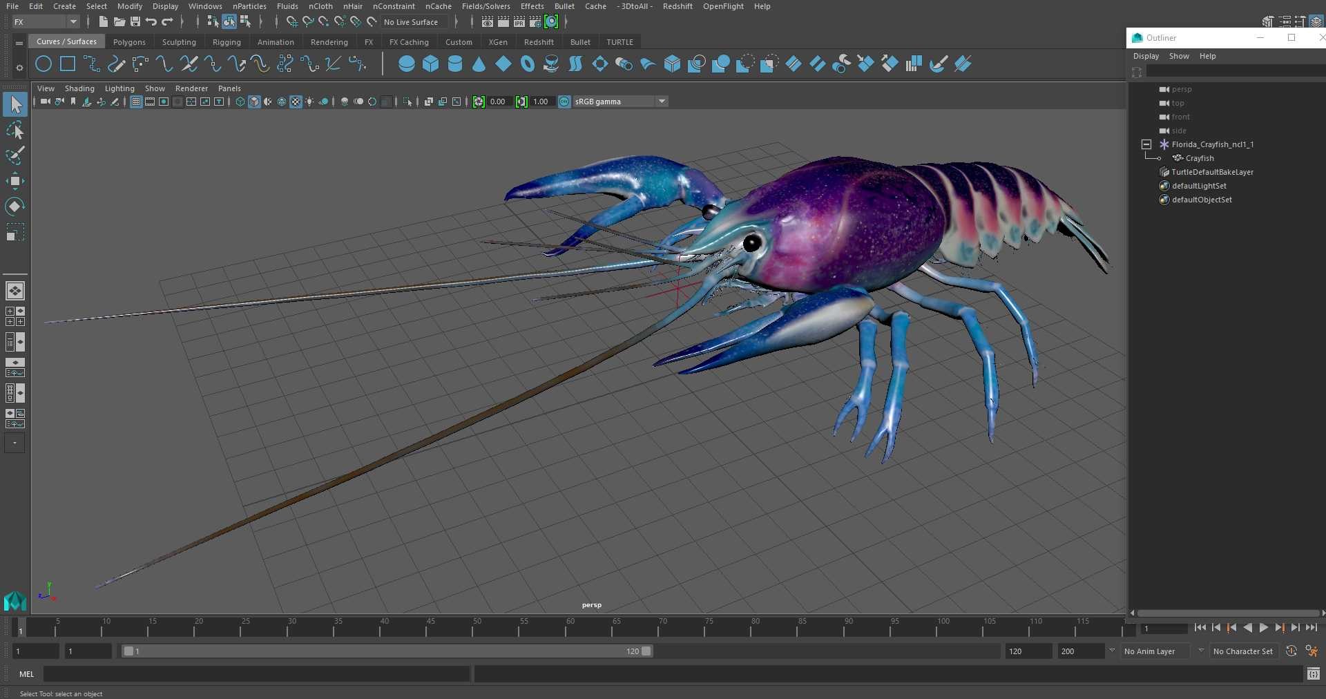 3D Florida Crayfish https://p.turbosquid.com/ts-thumb/PN/qR6ZLV/N9/floridacrayfish3dmodel030/jpg/1702072103/1920x1080/fit_q87/c011049e85407767a6d333e802e7c2945e05166b/floridacrayfish3dmodel030.jpg
