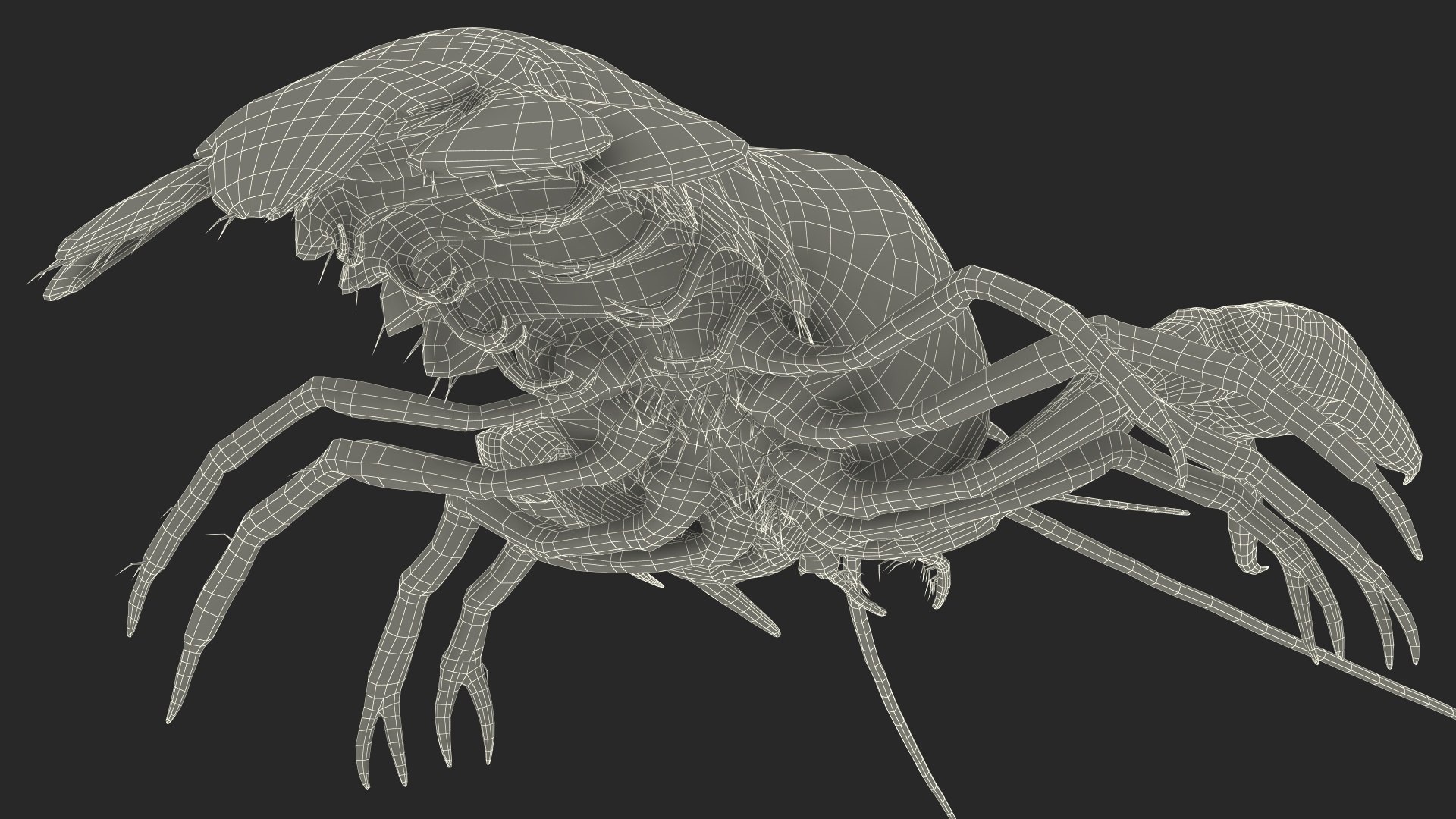 3D Florida Crayfish https://p.turbosquid.com/ts-thumb/PN/qR6ZLV/P6/floridacrayfish3dmodel036/jpg/1702072131/1920x1080/fit_q87/1ddd1a6d2a4b9c12add277be45922eb965ae9d1c/floridacrayfish3dmodel036.jpg