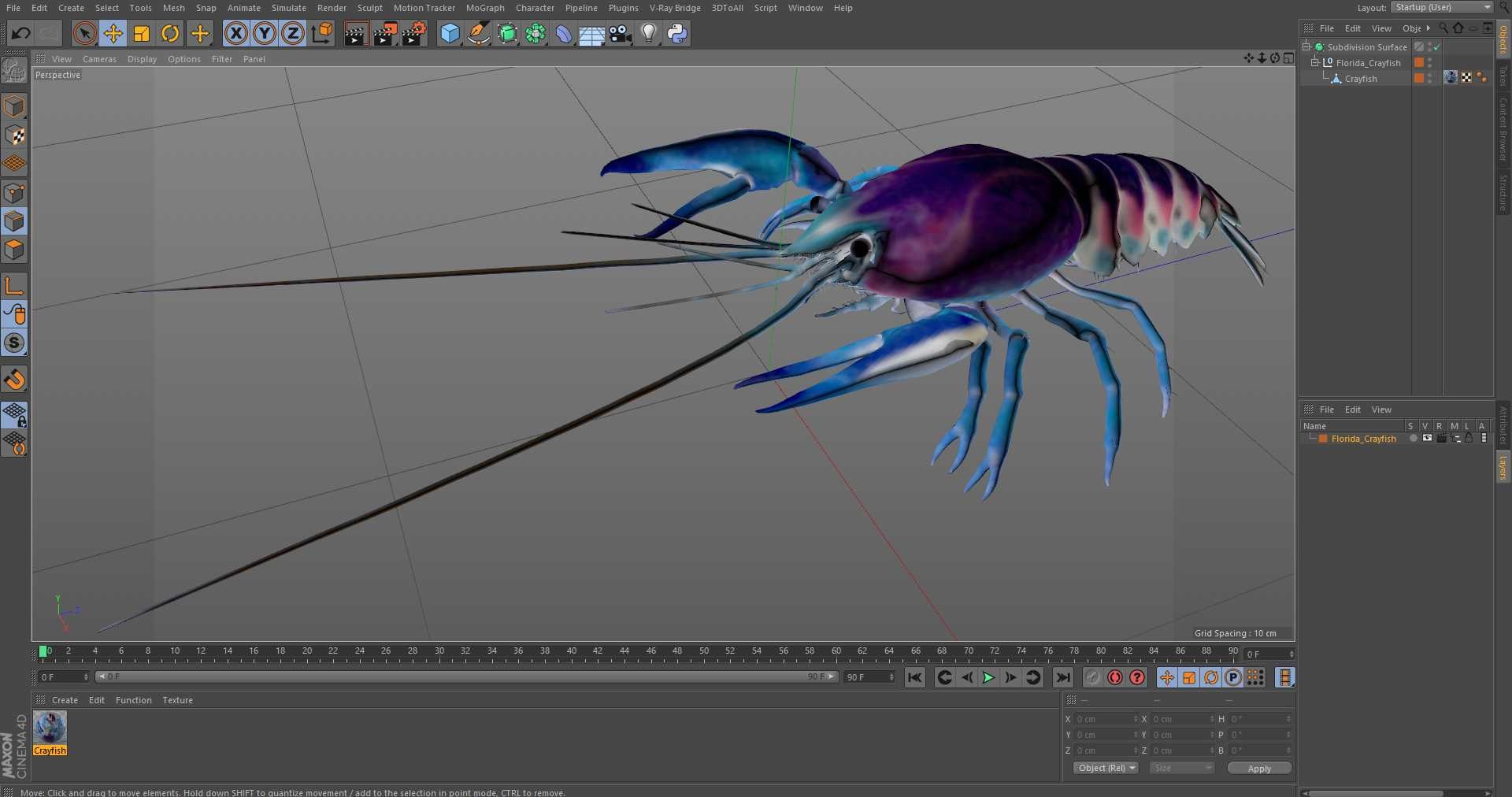 3D Florida Crayfish https://p.turbosquid.com/ts-thumb/PN/qR6ZLV/RR/floridacrayfish3dmodel029/jpg/1702072099/1920x1080/fit_q87/94847bd4660871bf600643377c5e65dc09fce2cf/floridacrayfish3dmodel029.jpg