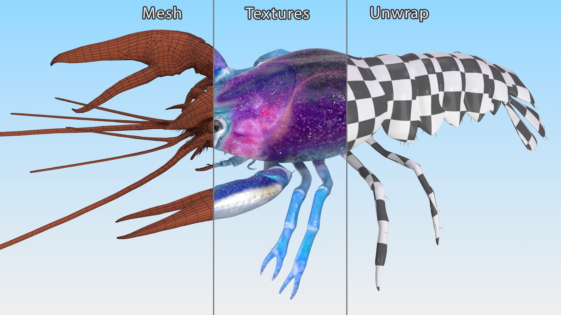 3D Florida Crayfish https://p.turbosquid.com/ts-thumb/PN/qR6ZLV/V7/floridacrayfish3dmodel021/jpg/1702072063/1920x1080/fit_q87/5161373424b7b59dc4c78eea868f59f63f247946/floridacrayfish3dmodel021.jpg