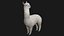 Alpaca Llama Collection rigged low poly