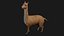 Alpaca Llama Collection rigged low poly