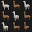 Alpaca Llama Collection rigged low poly
