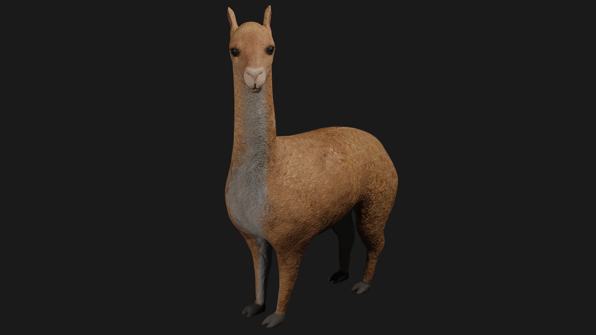 3D llama rigged https://p.turbosquid.com/ts-thumb/PN/y53SfA/RY/b2/jpg/1608138083/1920x1080/fit_q87/13965eef2f7495e1ac71f1cc13f880495d5cded4/b2.jpg