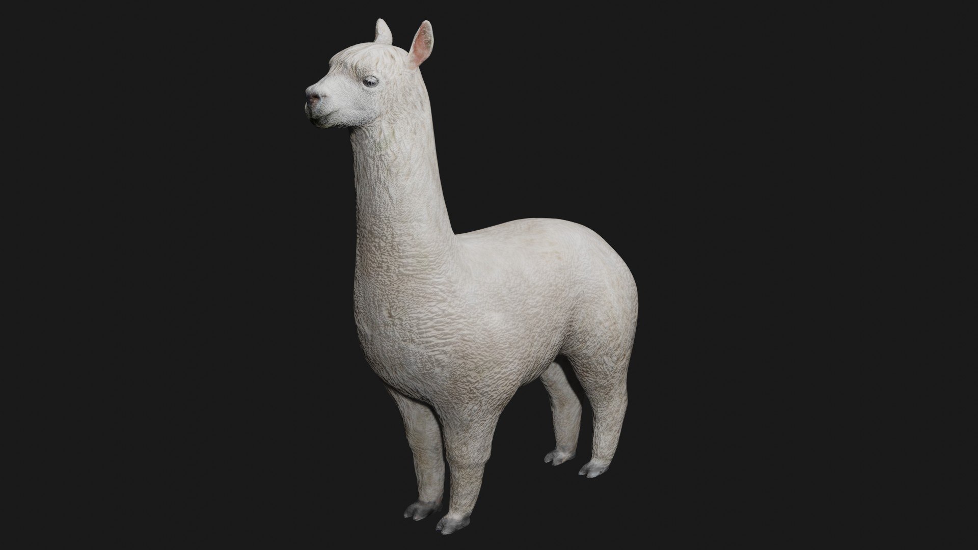 3D llama rigged https://p.turbosquid.com/ts-thumb/PN/y53SfA/q1/alpaca2/jpg/1608138067/1920x1080/fit_q87/47a246dc245c6d10316954fa3f264696689e6ce2/alpaca2.jpg