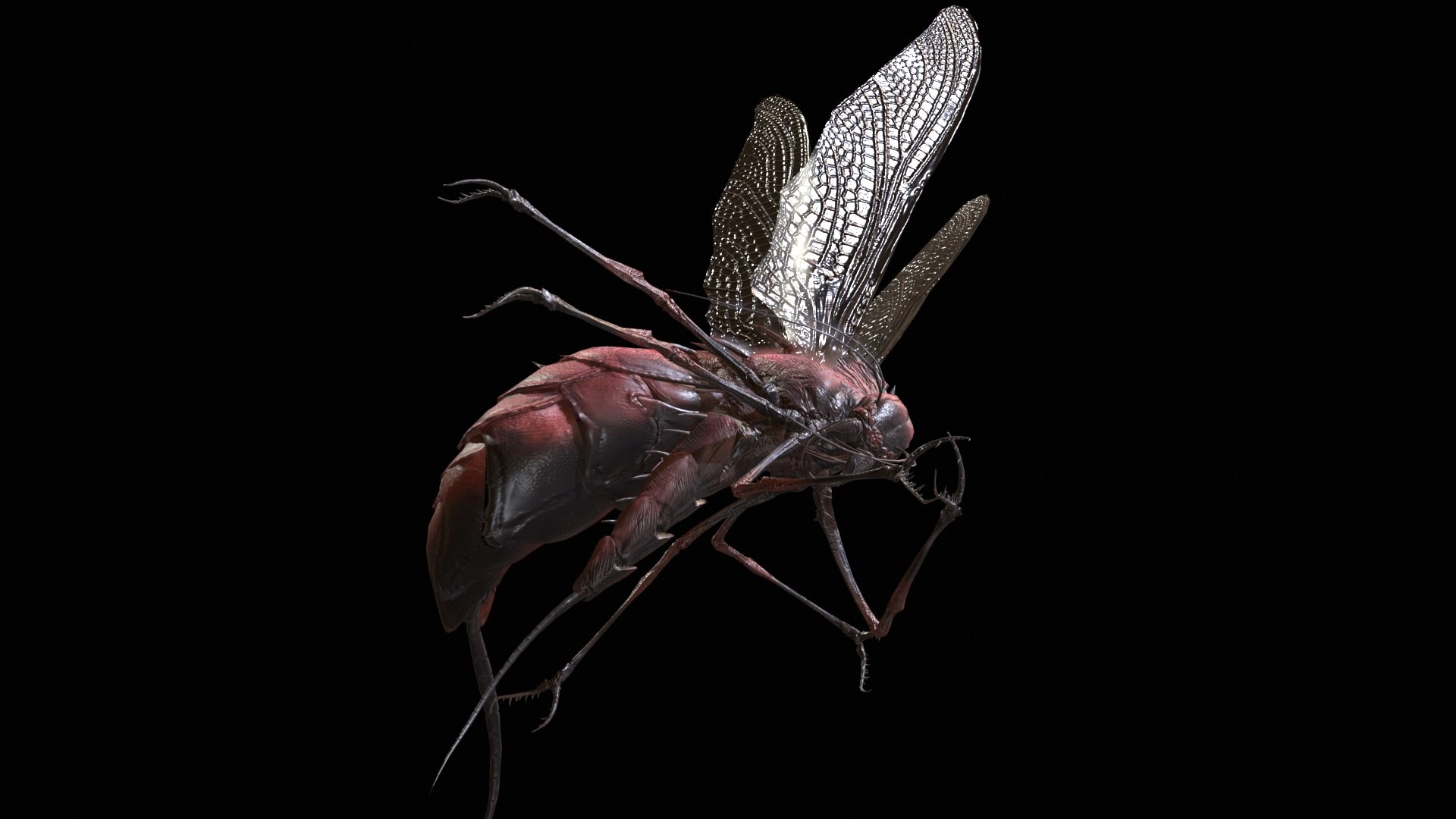 3D FlyingBug1 A1 https://p.turbosquid.com/ts-thumb/PO/2fKhJc/27/desktop_012/jpg/1712084750/1920x1080/fit_q87/218fcc8c07ac595be6ee8a4a74aa6a435c356eef/desktop_012.jpg