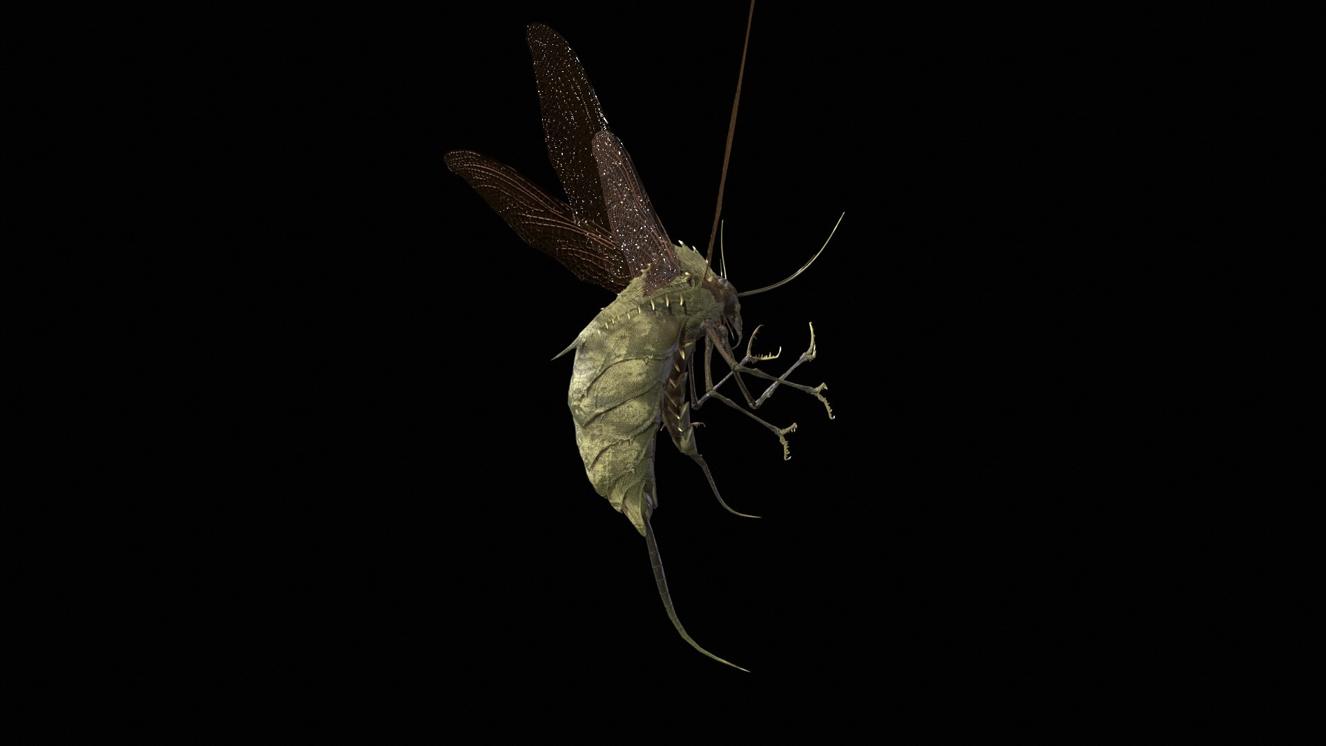 3D FlyingBug1 A1 https://p.turbosquid.com/ts-thumb/PO/2fKhJc/Eo/desktop_003/jpg/1712084733/1920x1080/fit_q87/2043a39daf10c55116aa04253d03ac466f1b5bda/desktop_003.jpg