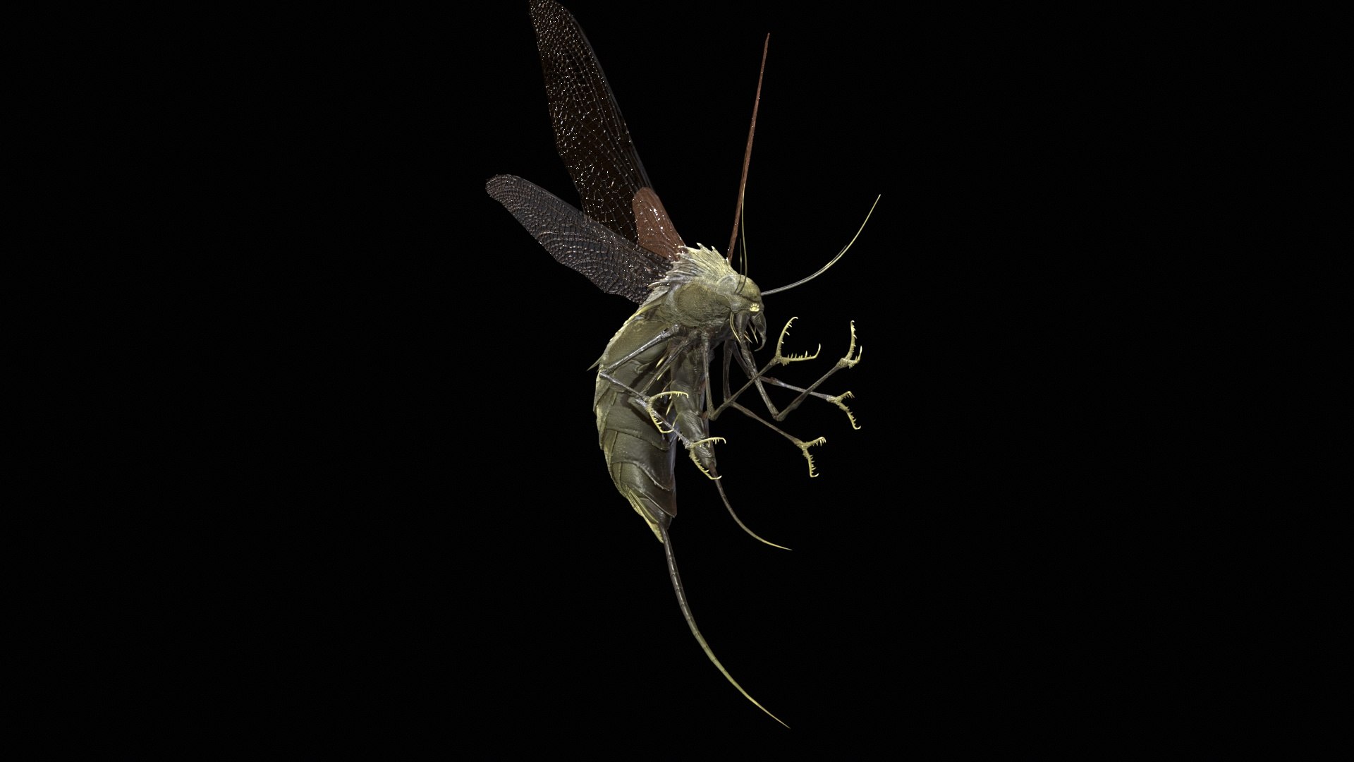 3D FlyingBug1 A1 https://p.turbosquid.com/ts-thumb/PO/2fKhJc/GV/desktop_002/jpg/1712084730/1920x1080/fit_q87/eb8f1d3641828bc0b08006b8764b8eddacb977b0/desktop_002.jpg