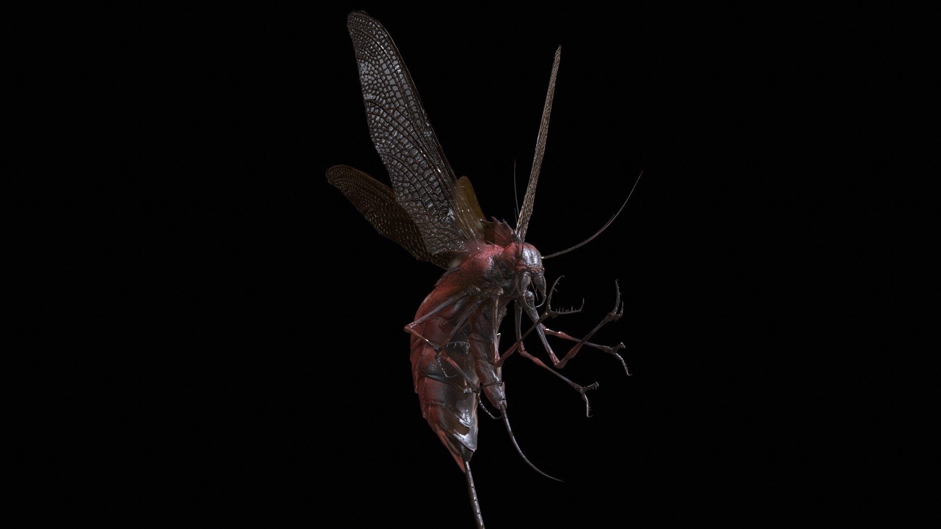 3D FlyingBug1 A1 https://p.turbosquid.com/ts-thumb/PO/2fKhJc/Jq/desktop_010/jpg/1712084747/1920x1080/fit_q87/b685ea61c08a3408b954619e18757b0d86596bf7/desktop_010.jpg