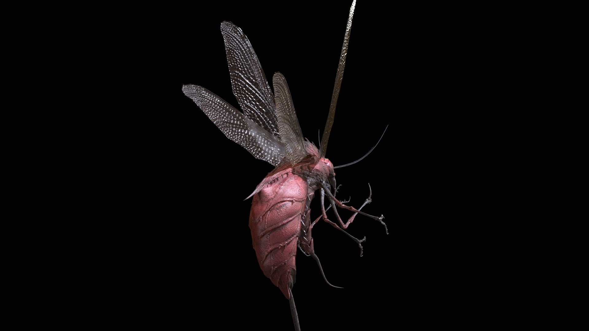 3D FlyingBug1 A1 https://p.turbosquid.com/ts-thumb/PO/2fKhJc/NB/desktop_011/jpg/1712084748/1920x1080/fit_q87/200967a1069fa61997ba1a016d17657f6f73446d/desktop_011.jpg