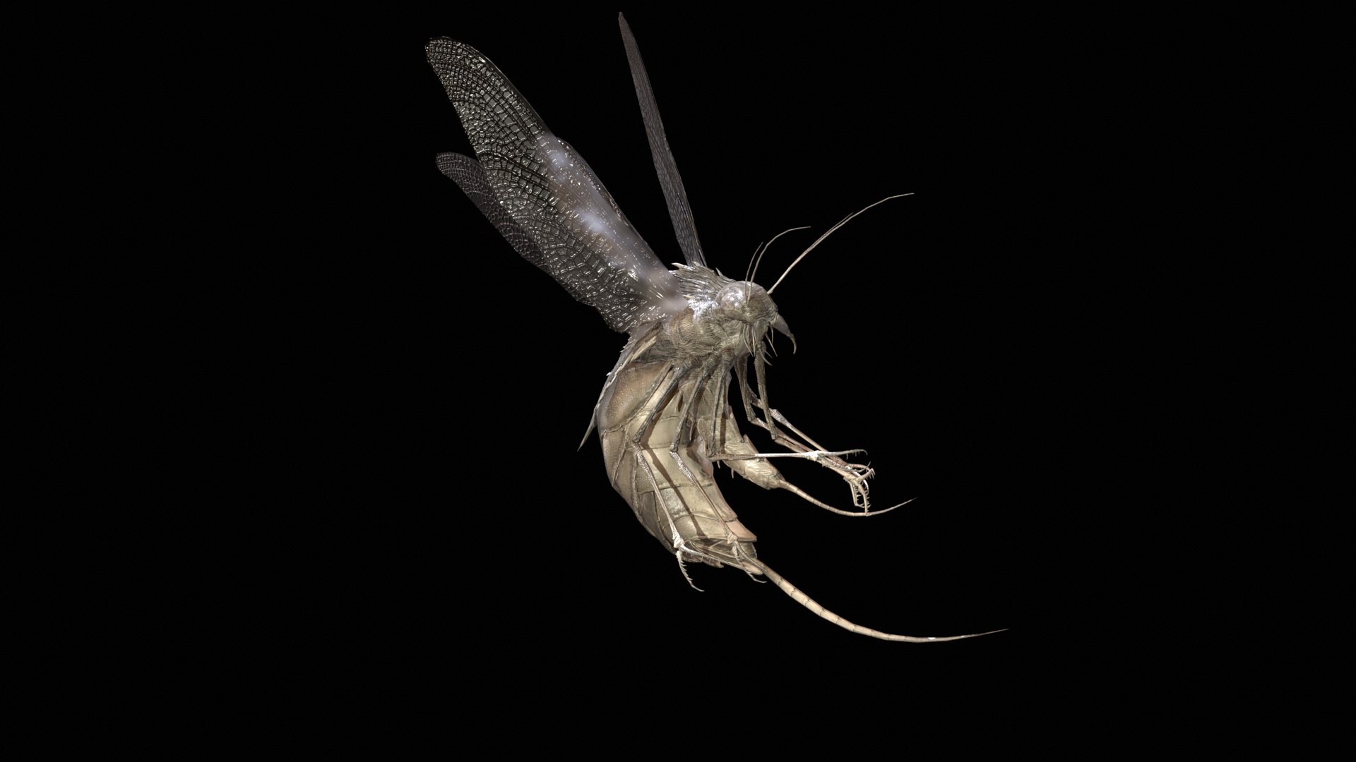 3D FlyingBug1 A1 https://p.turbosquid.com/ts-thumb/PO/2fKhJc/Or/desktop_007/jpg/1712084741/1920x1080/fit_q87/e5d7595161ed3bd57401abe85696d34a7c2f610a/desktop_007.jpg