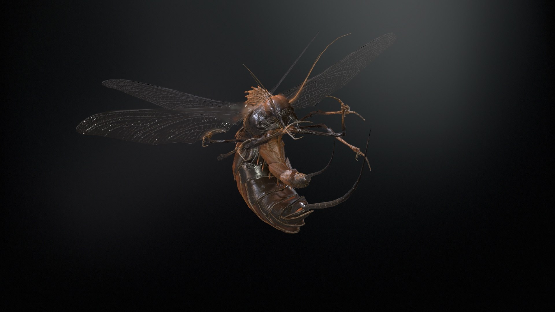 3D FlyingBug1 A1 https://p.turbosquid.com/ts-thumb/PO/2fKhJc/Vy/desktop_018/jpg/1712084759/1920x1080/fit_q87/a8c9378e1c2be4b4f6e3614620502f578e2f973b/desktop_018.jpg