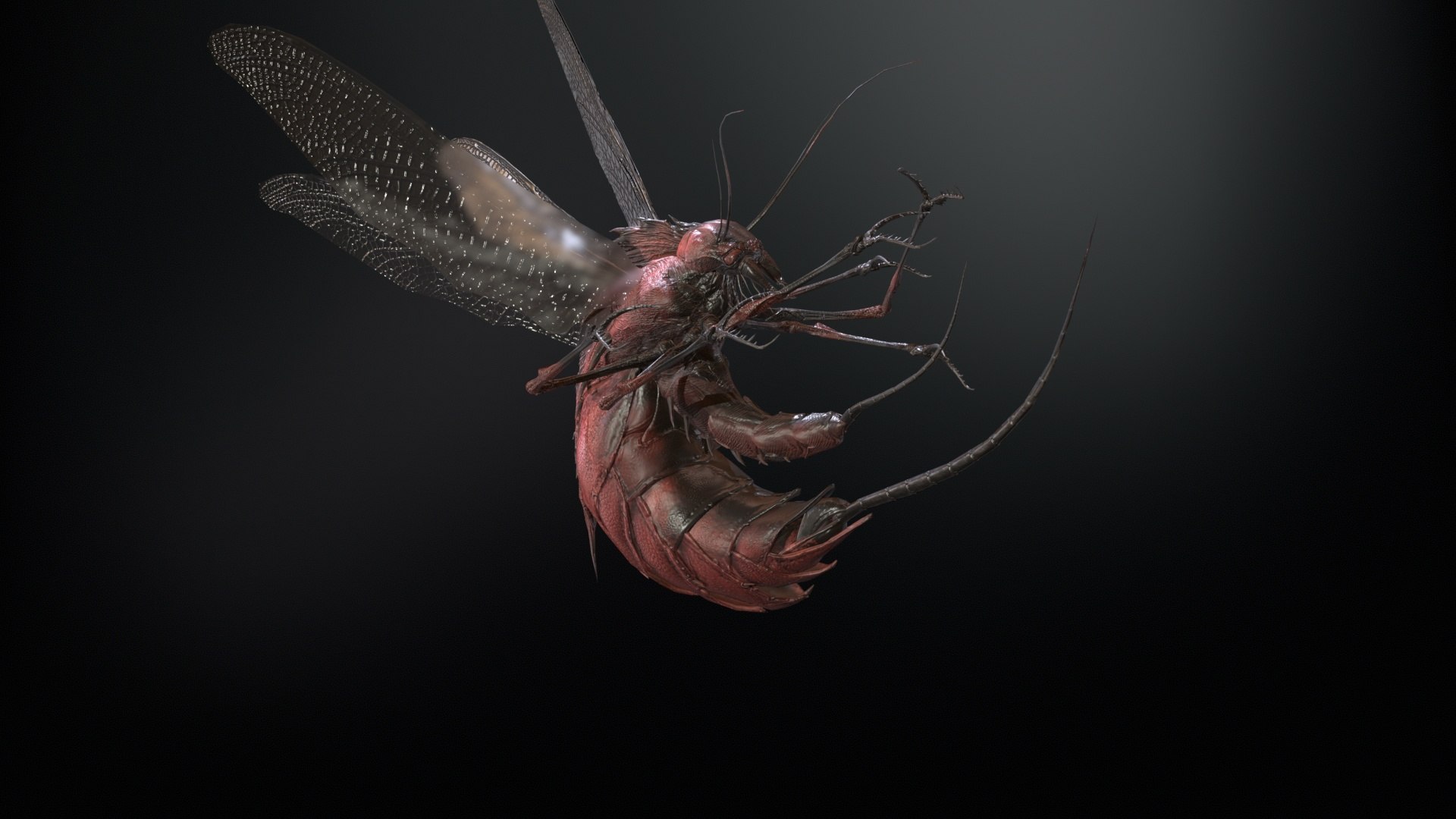 3D FlyingBug1 A1 https://p.turbosquid.com/ts-thumb/PO/2fKhJc/Xs/desktop_015/jpg/1712084755/1920x1080/fit_q87/3f0b3659638bdf08d14d31f2882c3cb80445e068/desktop_015.jpg