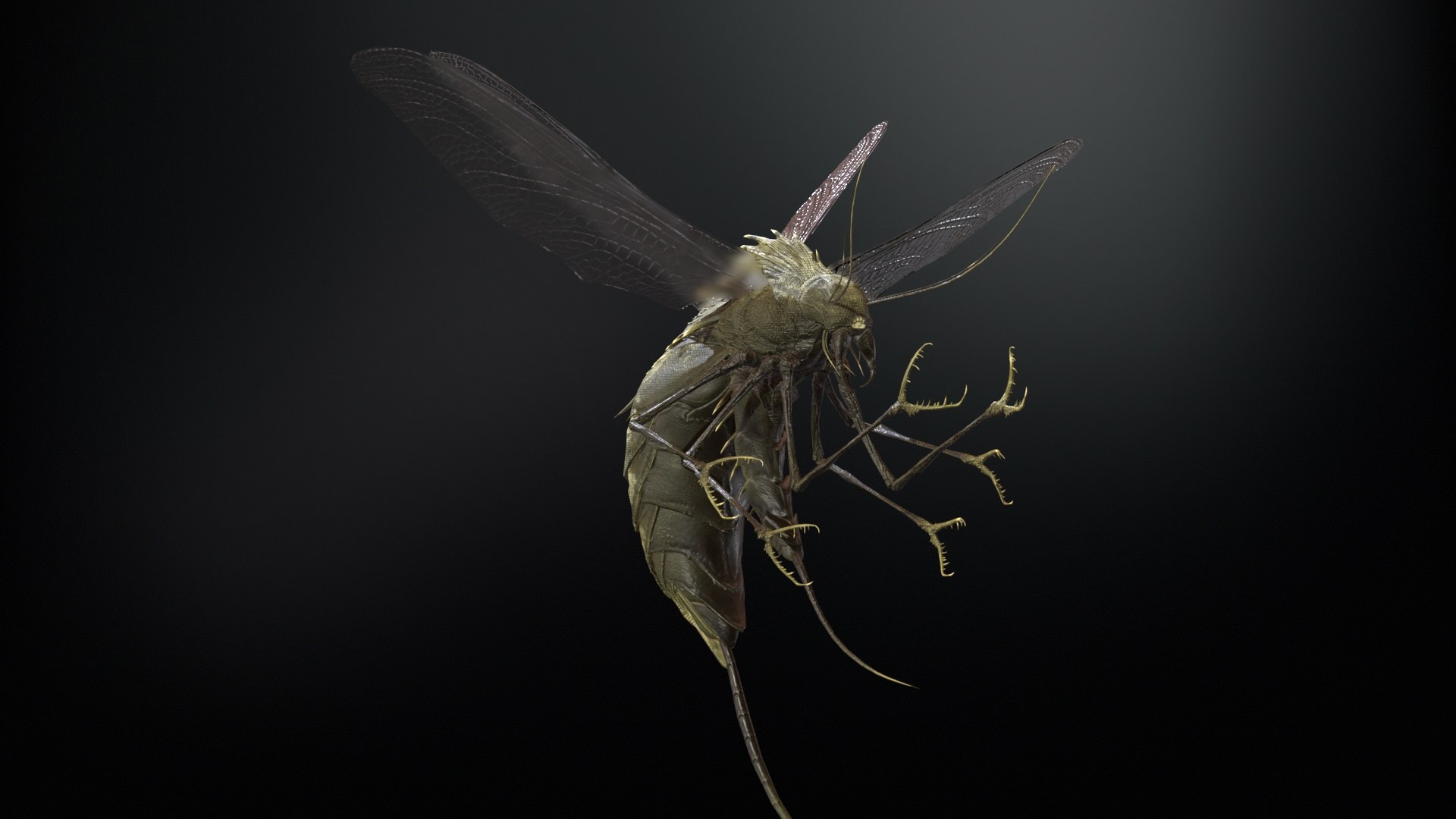 3D FlyingBug1 A1 https://p.turbosquid.com/ts-thumb/PO/2fKhJc/bQ/desktop_016/jpg/1712084756/1920x1080/fit_q87/4fed5a8f11ca8fe4d2b5c906c6f6e5f617255eb1/desktop_016.jpg