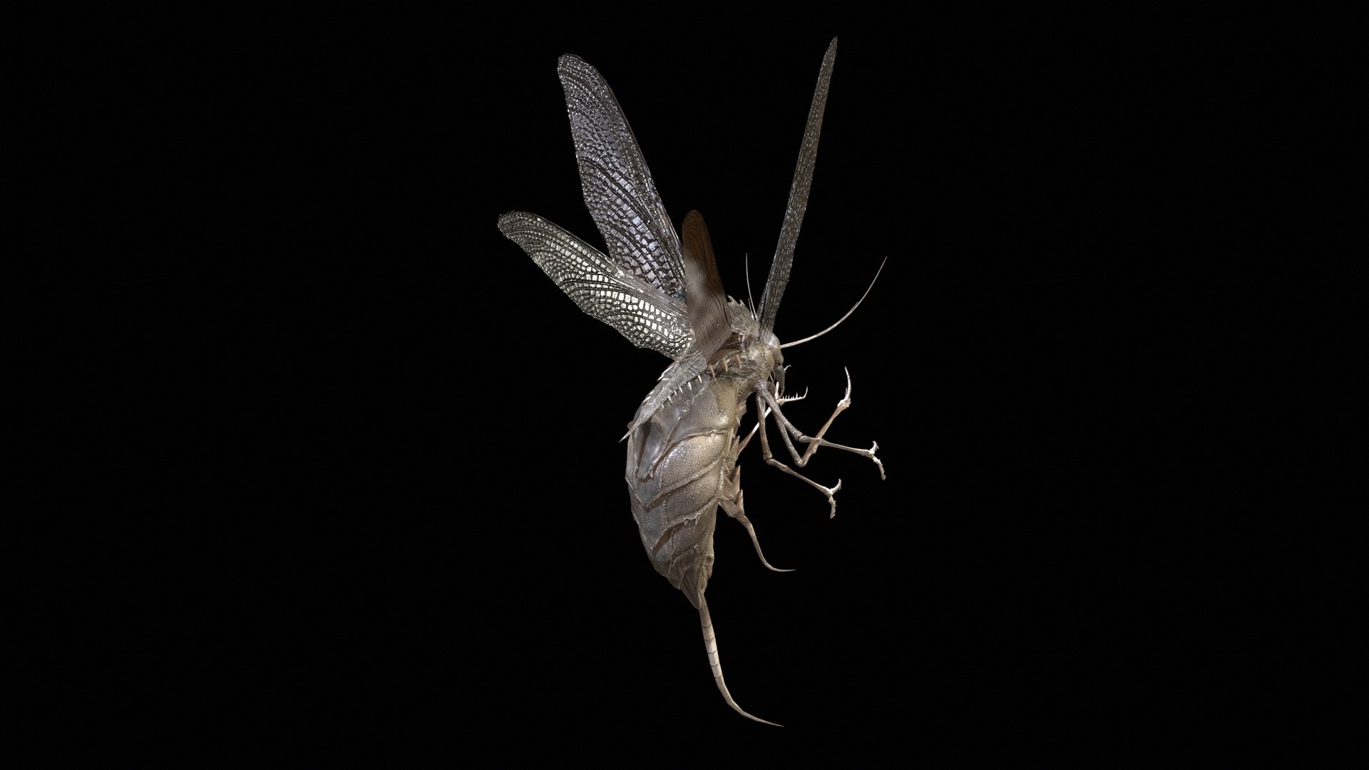 3D FlyingBug1 A1 https://p.turbosquid.com/ts-thumb/PO/2fKhJc/r6/desktop_009/jpg/1712084745/1920x1080/fit_q87/63ec05636656d56648e11ff395eb6b7b24ed3d4c/desktop_009.jpg