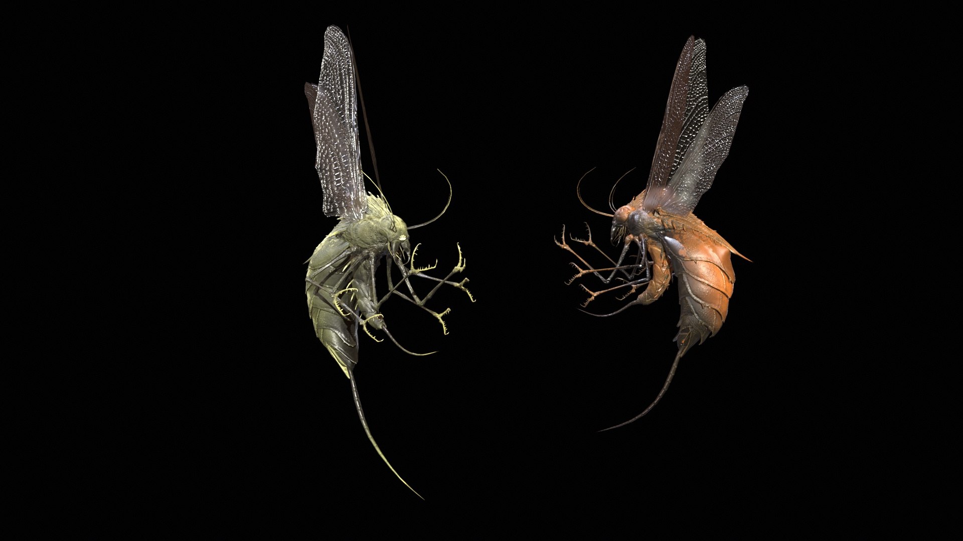 3D FlyingBug1 A1 https://p.turbosquid.com/ts-thumb/PO/2fKhJc/rL/desktop_004/jpg/1712084736/1920x1080/fit_q87/3caf25601ba1bfe4bbddb35b0764e4ba5aefd0e8/desktop_004.jpg