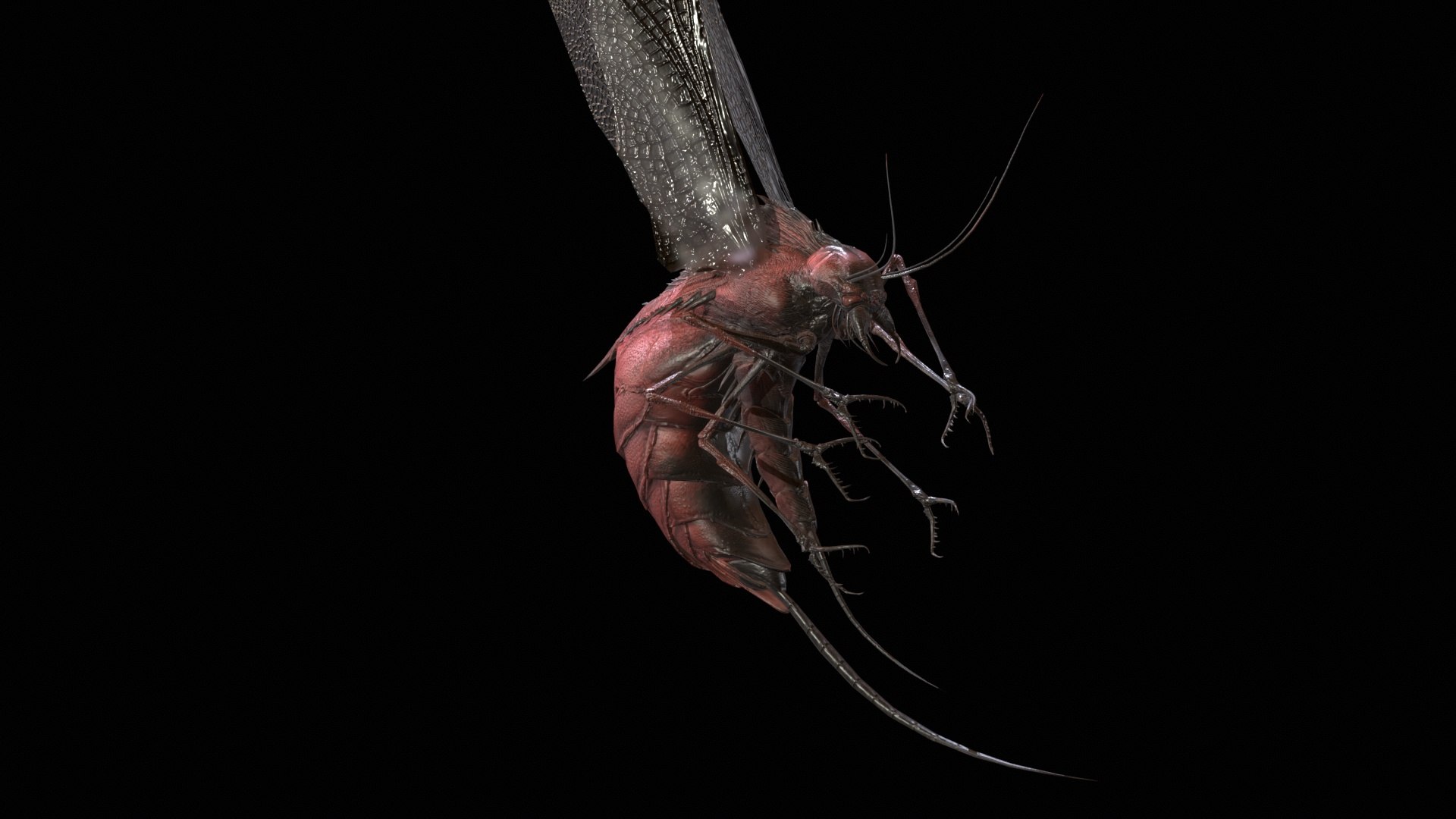 3D FlyingBug1 A1 https://p.turbosquid.com/ts-thumb/PO/2fKhJc/vd/desktop_013/jpg/1712084752/1920x1080/fit_q87/b099098cbabfb466d54ff13fbe91f49f87743ce5/desktop_013.jpg