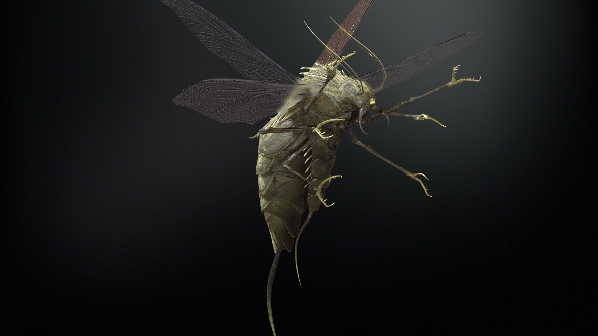 3D FlyingBug1 A1 https://p.turbosquid.com/ts-thumb/PO/2fKhJc/w7/desktop_017/jpg/1712084759/1920x1080/fit_q87/7bd939a21fb656ddf51061d220359dec3c98d1d4/desktop_017.jpg