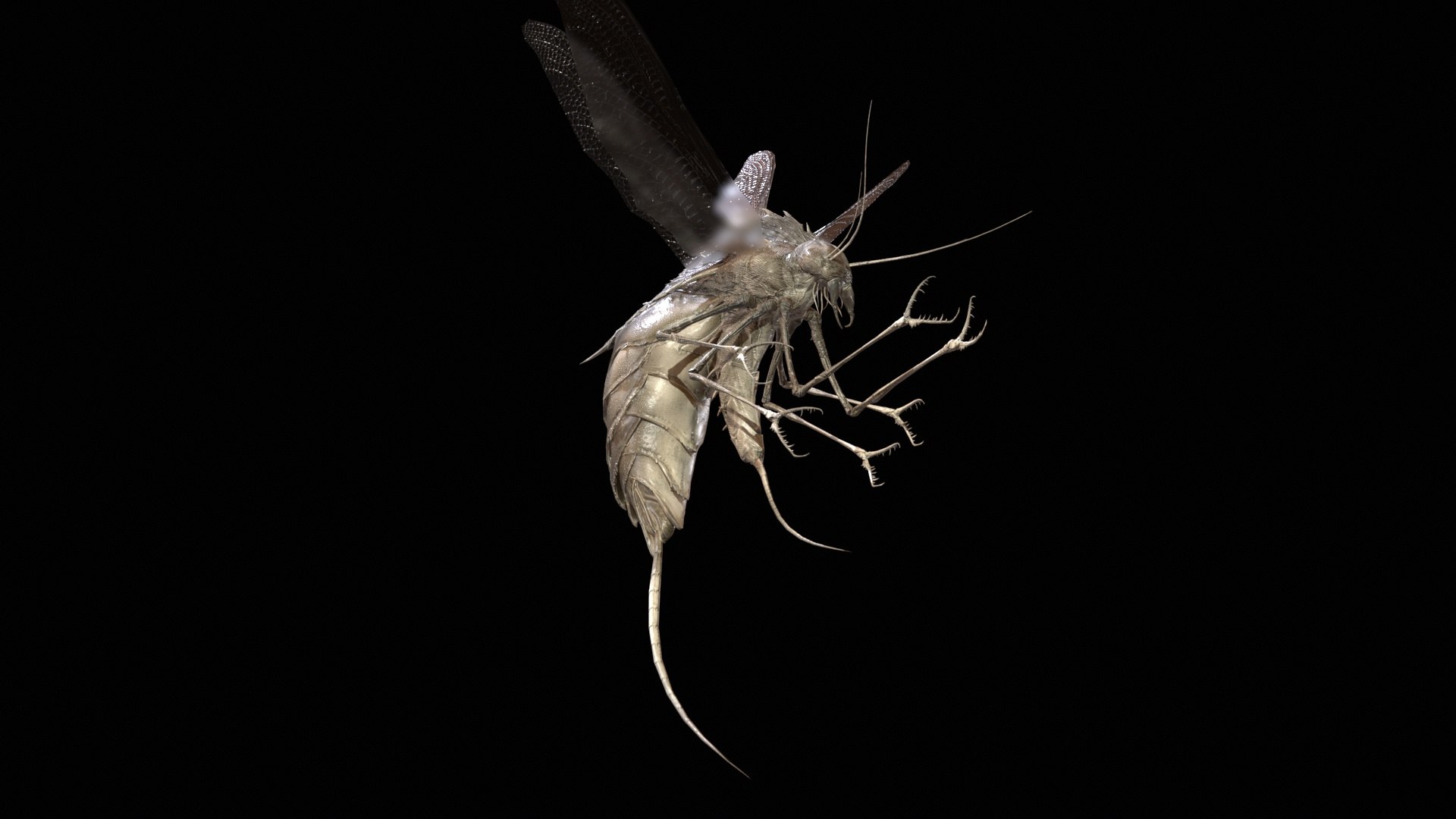 3D FlyingBug1 A1 https://p.turbosquid.com/ts-thumb/PO/2fKhJc/zc/desktop_006/jpg/1712084742/1920x1080/fit_q87/ae00d7c8f01028af507588667943a1c5f4860a13/desktop_006.jpg