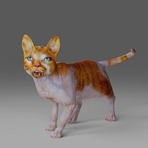 3D Calico Cat Rigged and Animated V2 in Blender