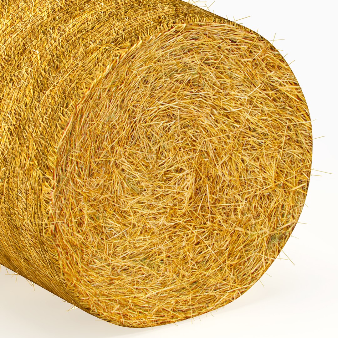 c4d farm 4 https://p.turbosquid.com/ts-thumb/PO/6VbZxf/DYbAcnkx/haystack_04/jpg/1355874979/1920x1080/fit_q87/182e91474a4138215f4920246a6c8a3eaa37509a/haystack_04.jpg