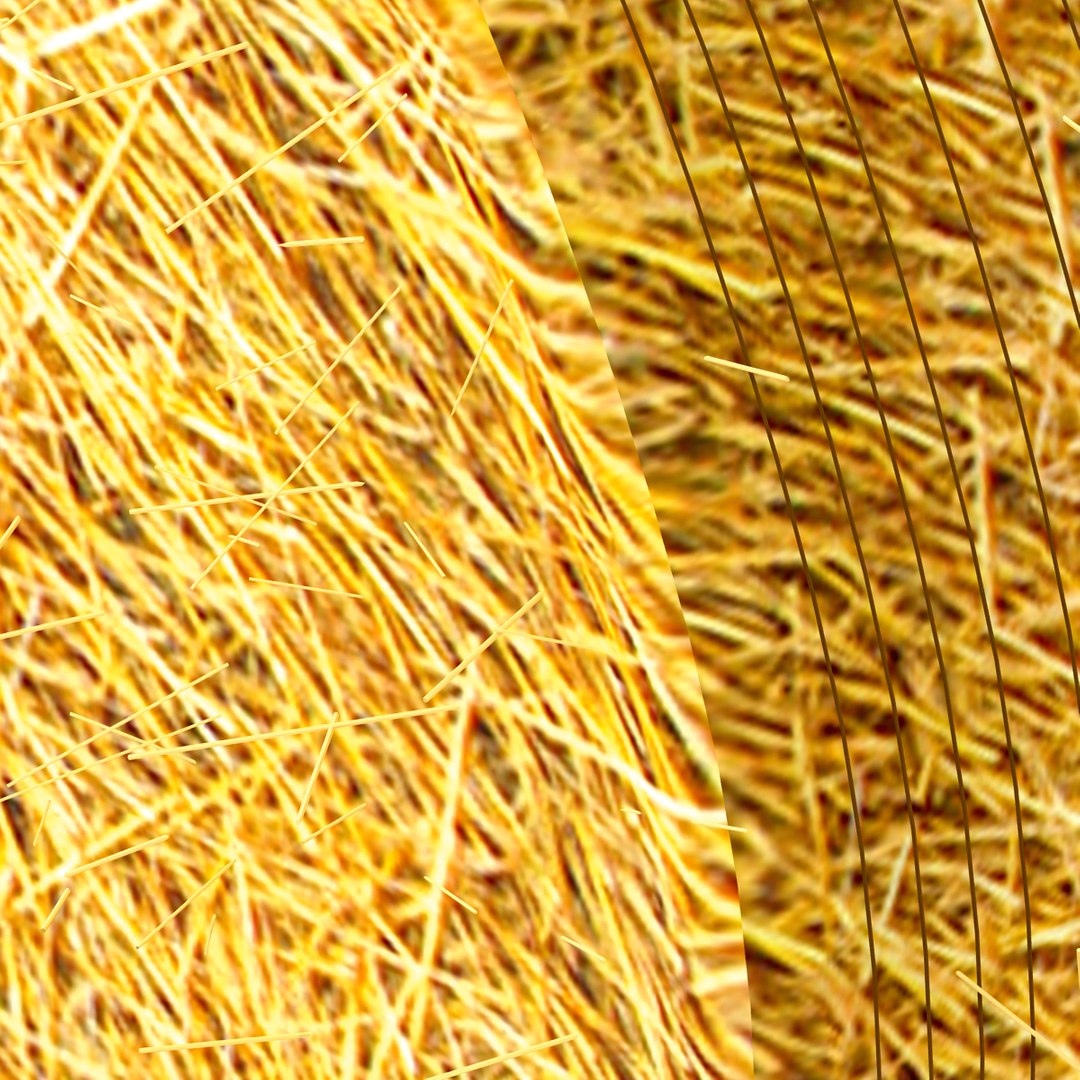 c4d farm 4 https://p.turbosquid.com/ts-thumb/PO/6VbZxf/Tt7ipAXH/haystack_06/jpg/1355874979/1920x1080/fit_q87/34d5cbb1d9f91d424bfb7cb9253b0918c0707198/haystack_06.jpg