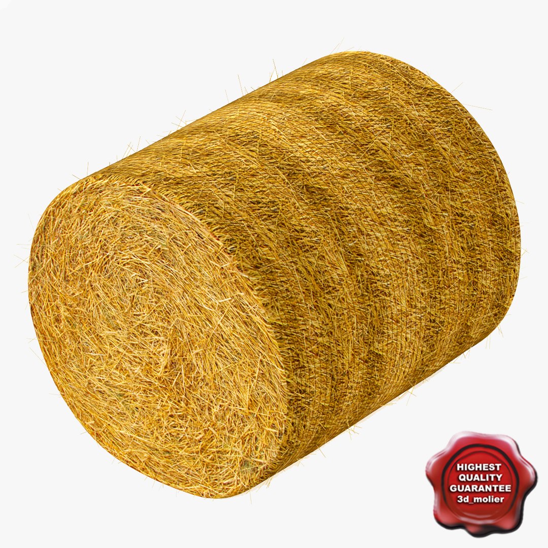 c4d farm 4 https://p.turbosquid.com/ts-thumb/PO/6VbZxf/k5tuPkgt/haystack_00/jpg/1355874979/1920x1080/fit_q87/918104107db32c0c95667c57bd52ed4730b22852/haystack_00.jpg