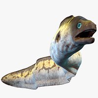 Moray Eel Rigged PBR