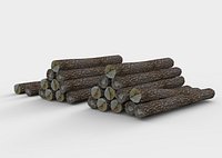 Sliced tree/Wood pile