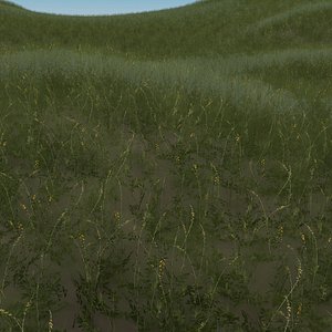 grass flowers 3D model