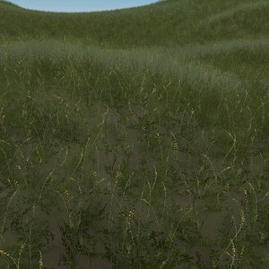 Grass with flowers