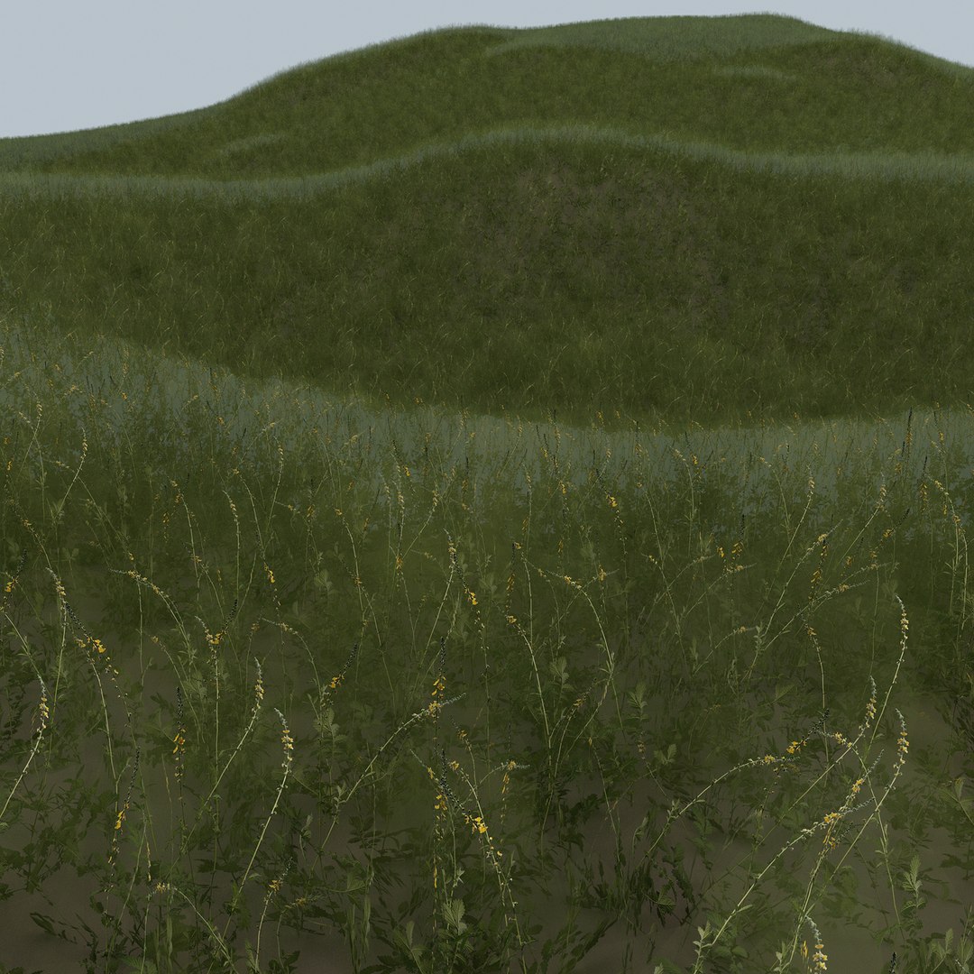 grass flowers 3D model https://p.turbosquid.com/ts-thumb/PO/HfUigx/Sl/travatsvenok5/jpg/1613464941/1920x1080/fit_q87/bc41b1384879338ee8451e3774dffc7afbcce2bd/travatsvenok5.jpg