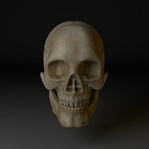 Skull