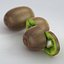 Kiwi Fruit