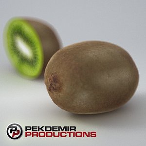 kiwi fruit 3d model