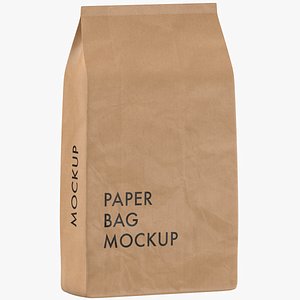 Mockup Paper Bag model