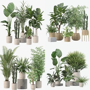 20 Modern Houseplants Megapack Monstera Ficus Rubber Tree - Set 201 205 207 219