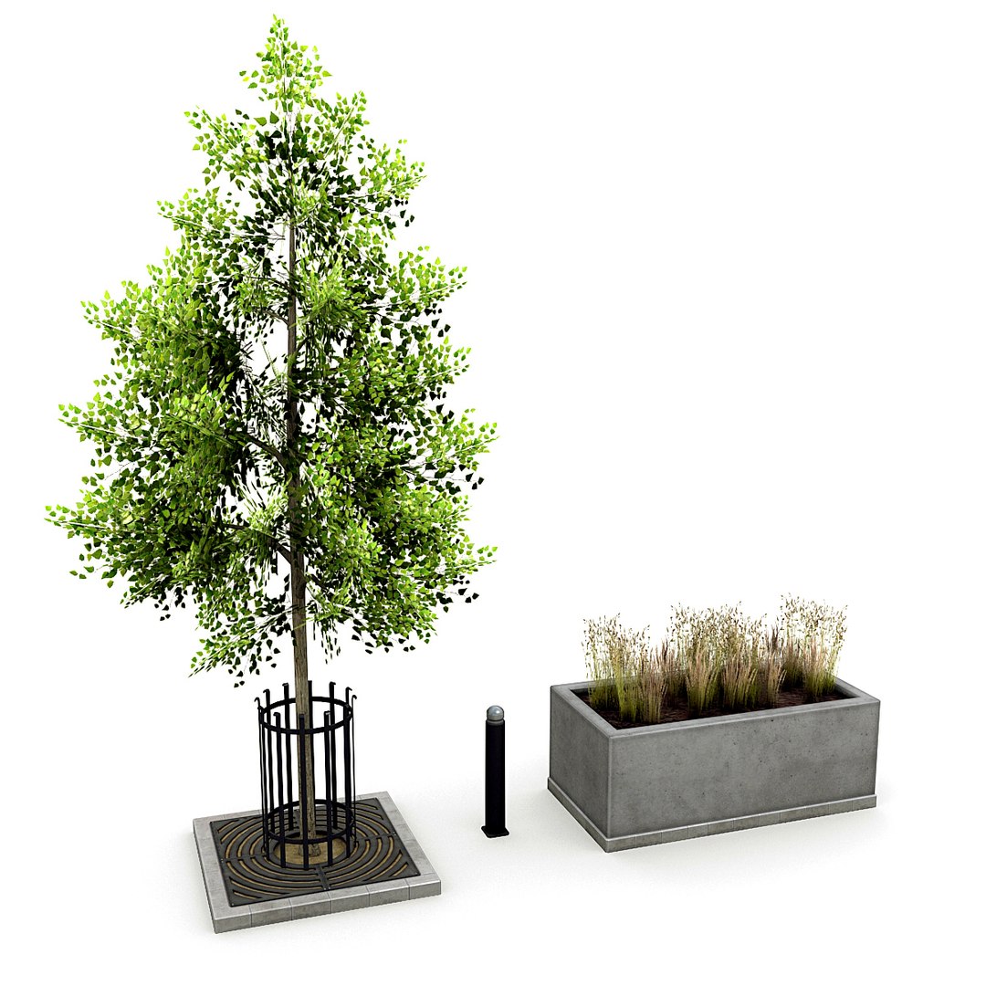 Max Street Tree