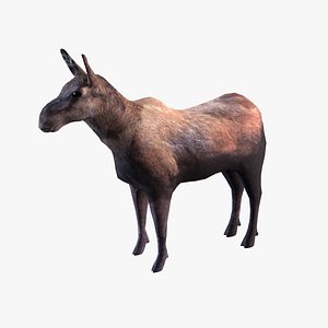 3D model Moose