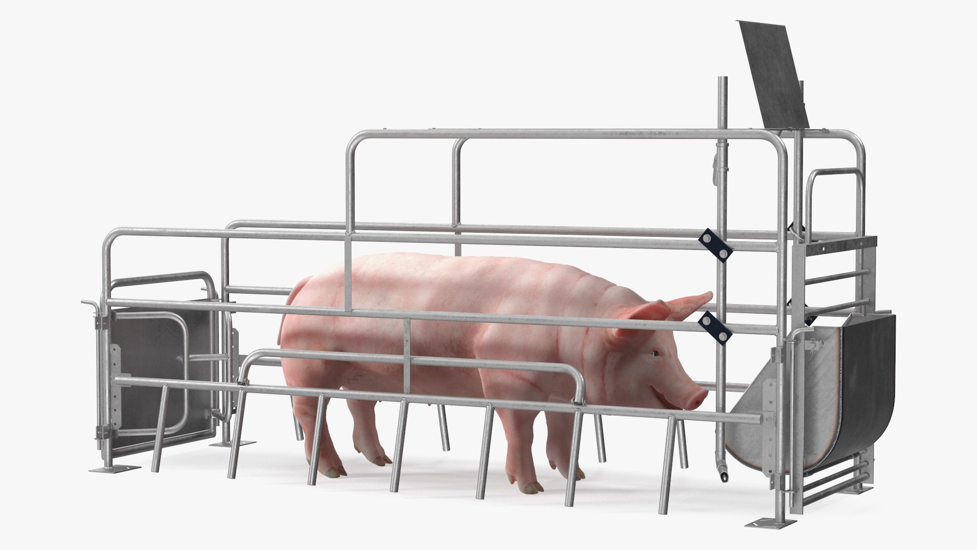 3D Pig in Farrowing Crate model https://p.turbosquid.com/ts-thumb/PO/rKkloj/7z/piginfarrowingcrate3dsmodel008/jpg/1682694185/1920x1080/fit_q87/83d9ced99aae268b4dc68327d4f6792b752d0583/piginfarrowingcrate3dsmodel008.jpg