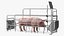 Pig in Farrowing Crate